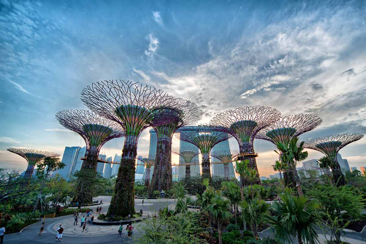 GAIP: Sustainability & Green Innovation - Gardens by the Bay, Singapore